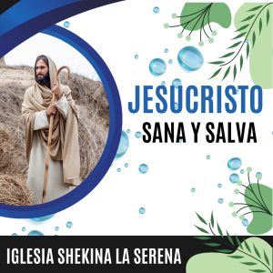 WhatsApp Image 2025-04-23 at 17.42.55