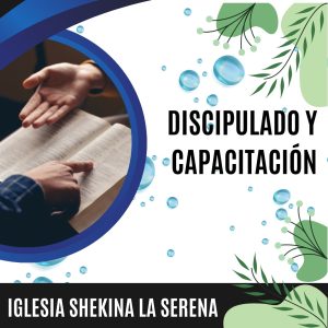 WhatsApp Image 2025-04-23 at 17.42.56 (2)